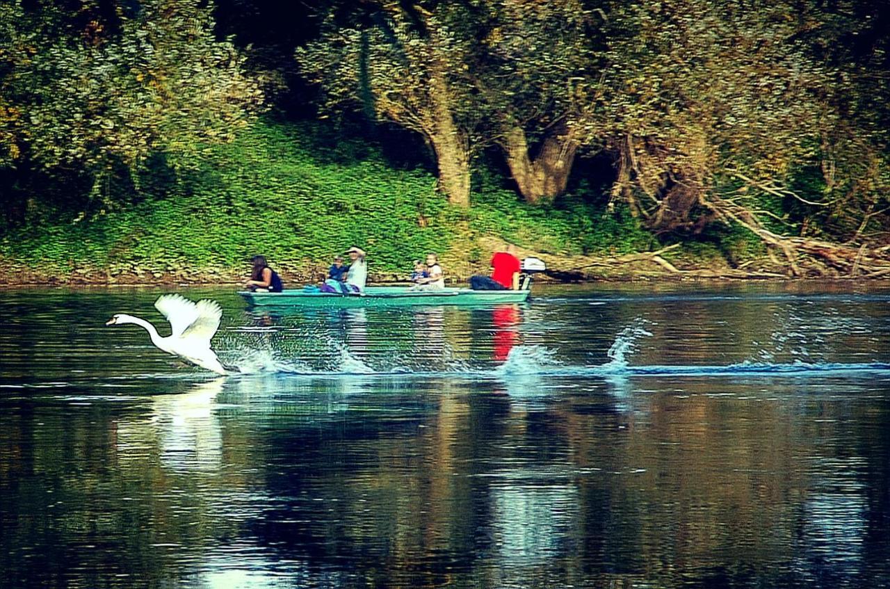 Zagreb, Kuca Za Odmor Swan River Holiday House Lasinja Esterno foto