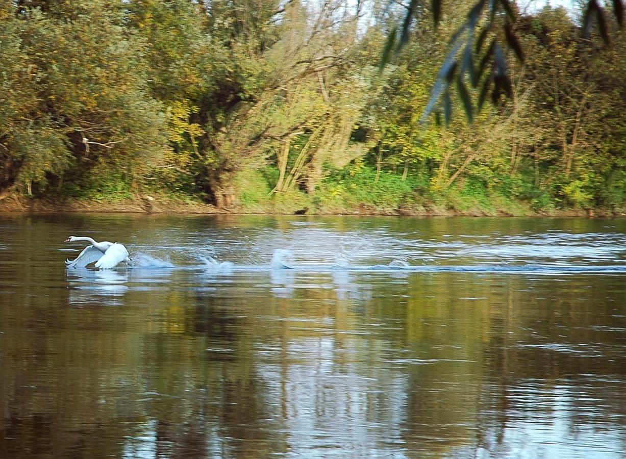 Zagreb, Kuca Za Odmor Swan River Holiday House Lasinja Esterno foto