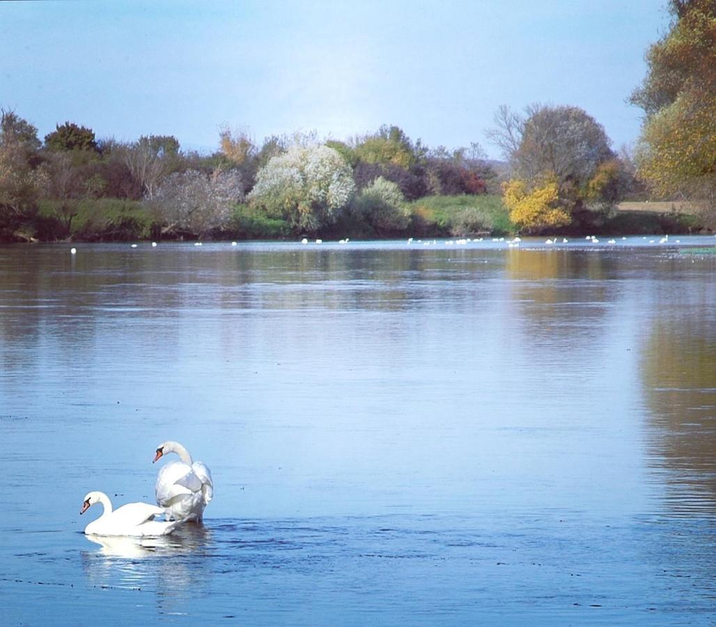 Zagreb, Kuca Za Odmor Swan River Holiday House Lasinja Esterno foto